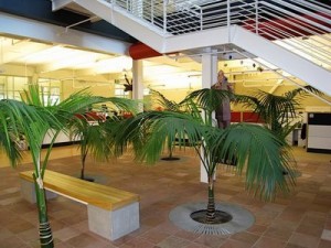 you_tube_office_11